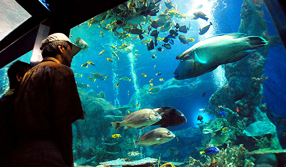 Toba Aquarium