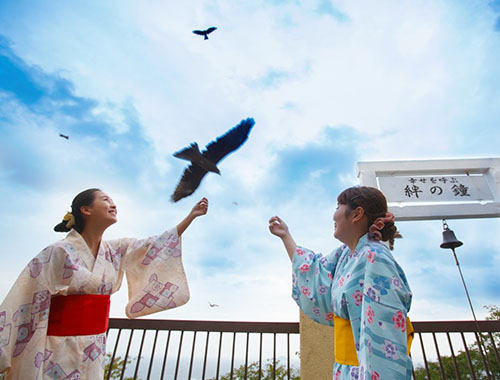 トンビの餌付けイメージ