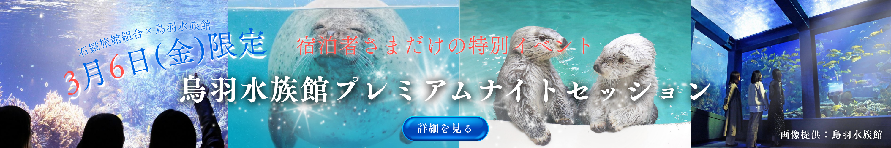 公式サイトからのお申し込みが最安値